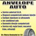 Autofix - service auto